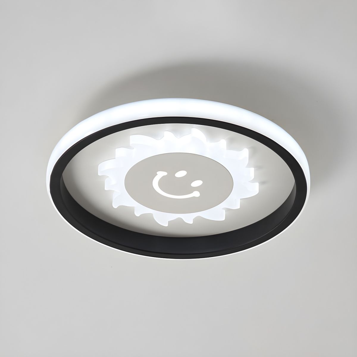 Ceiling Light Acrylic Flush Mount Modern Flower | Veluna