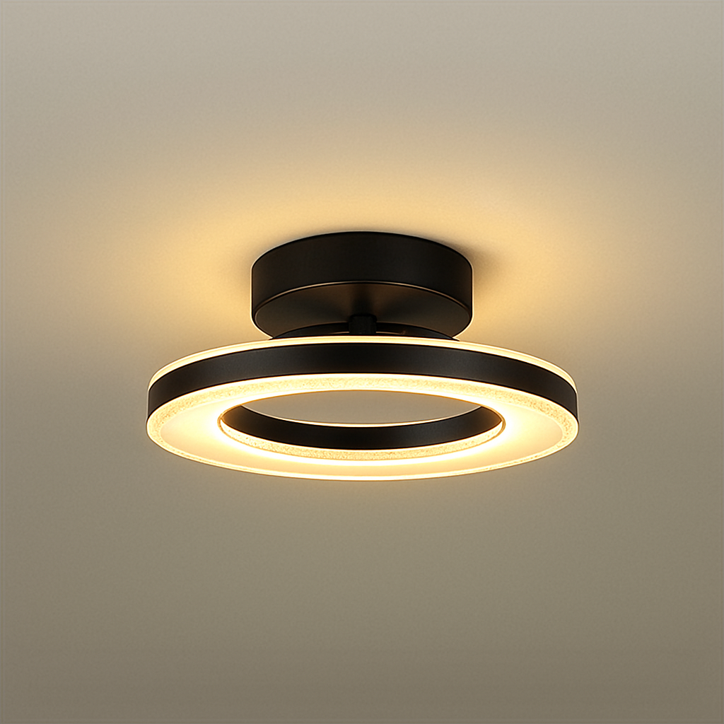 Ceiling Light Acrylic Round Modern Corridor Style Finmar