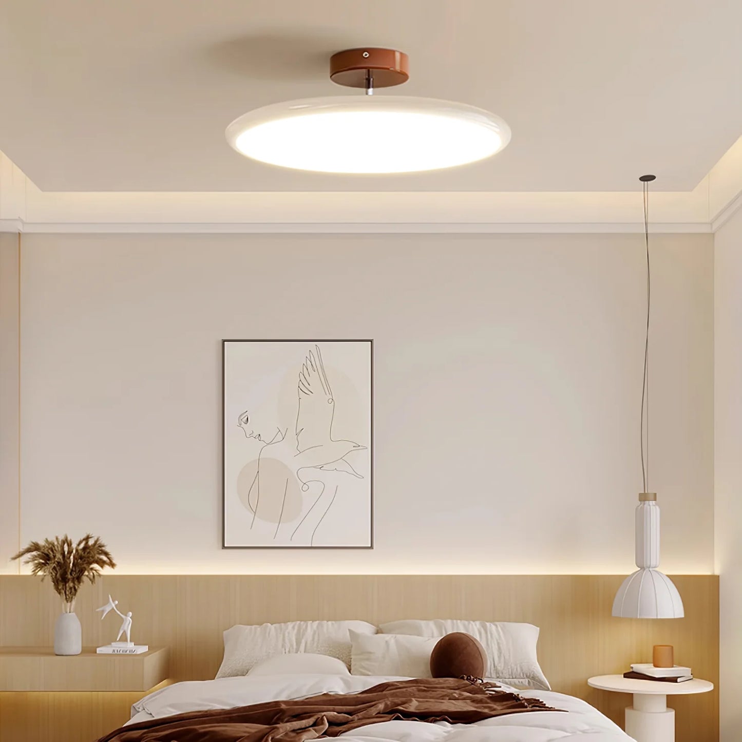 Ceiling Light Adjustable LED with Circular Shade | Drifto