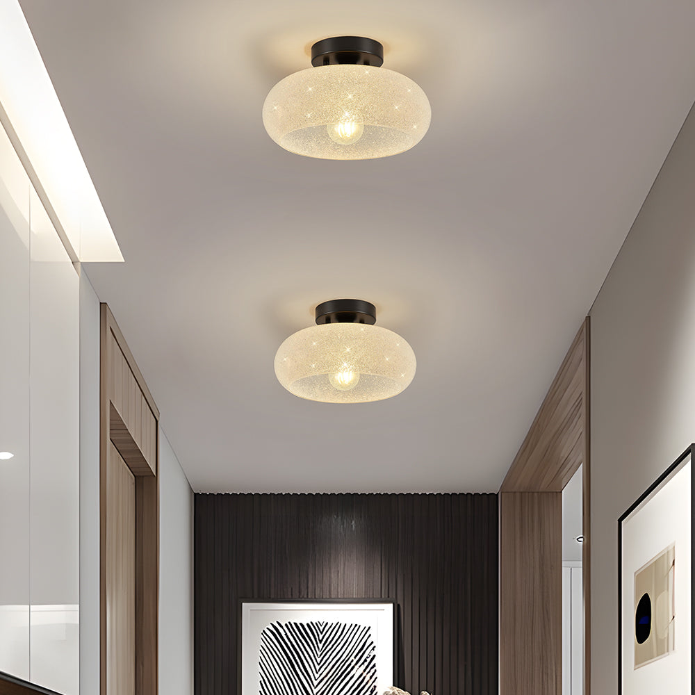 Ceiling Light Glass Dome in Modern Style | Lurvian