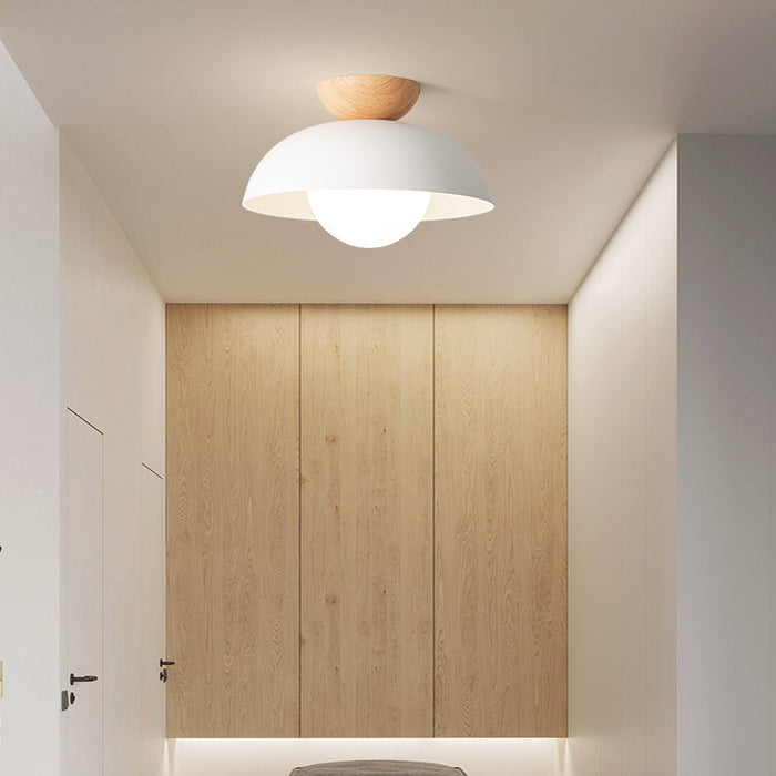 Ceiling Light Iron Shade Nordic Minimalist Design | Norvya