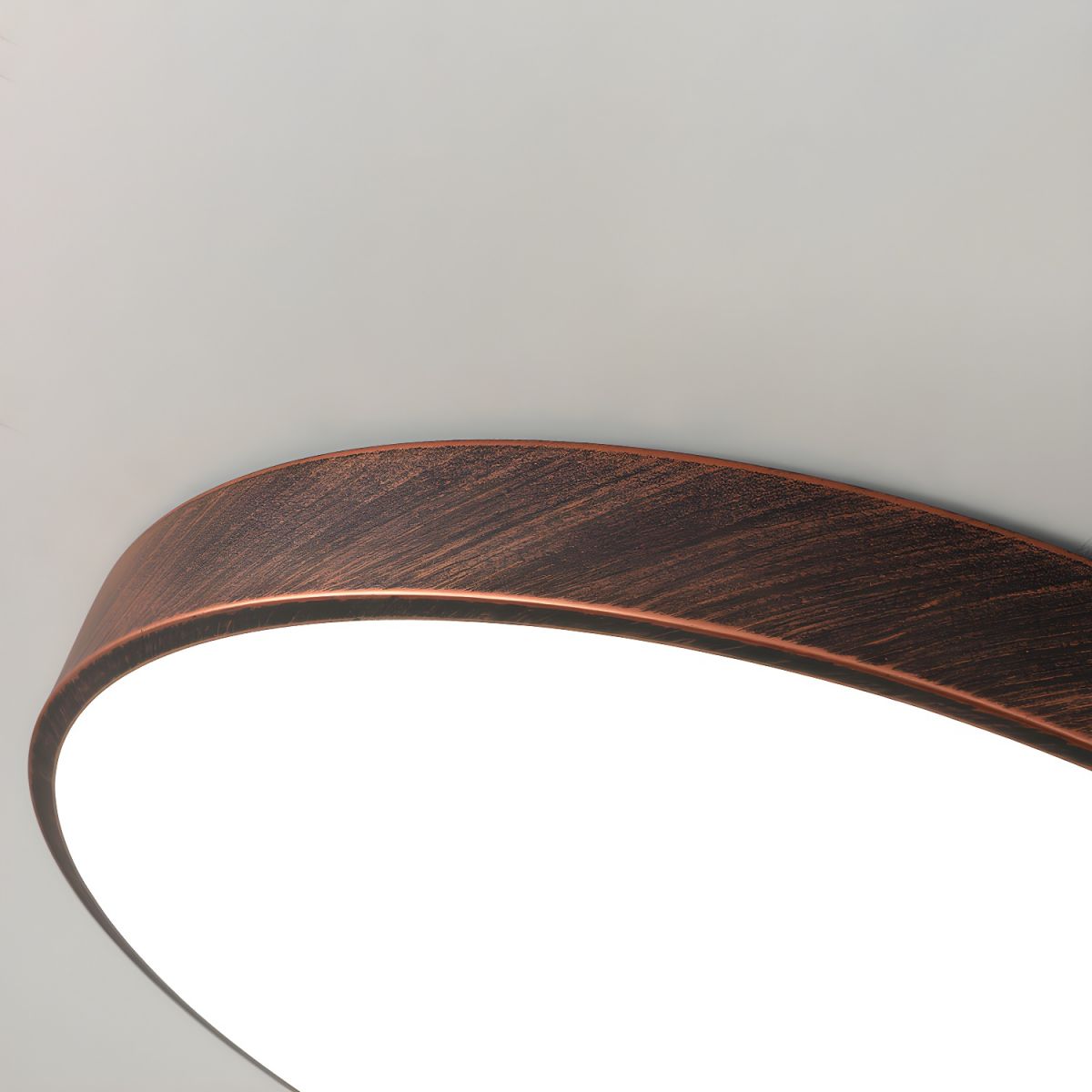Ceiling Light LED Flush Mount Metal in Modern Style | Arcira