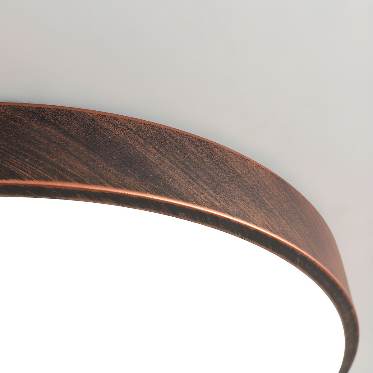 Ceiling Light LED Flush Mount Metal in Modern Style | Arcira