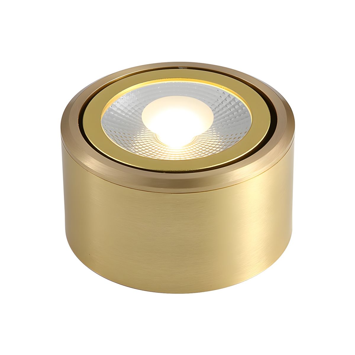 Ceiling Light LED Flush Mount Modern Gold | Calora