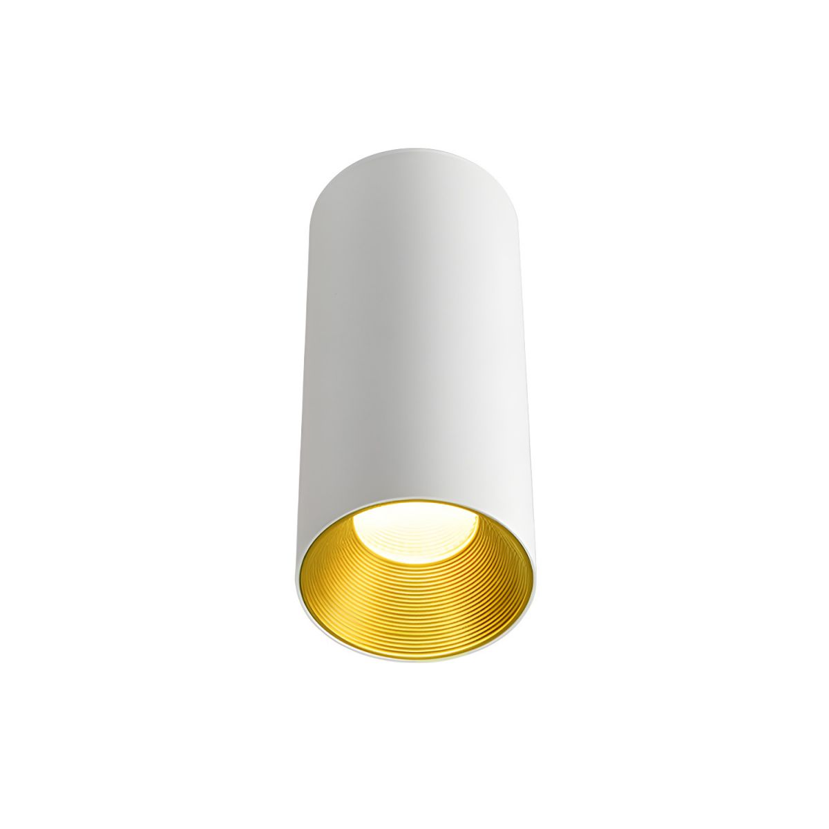 Ceiling Light LED Metal Flush Mount Nordic Style | Tavira
