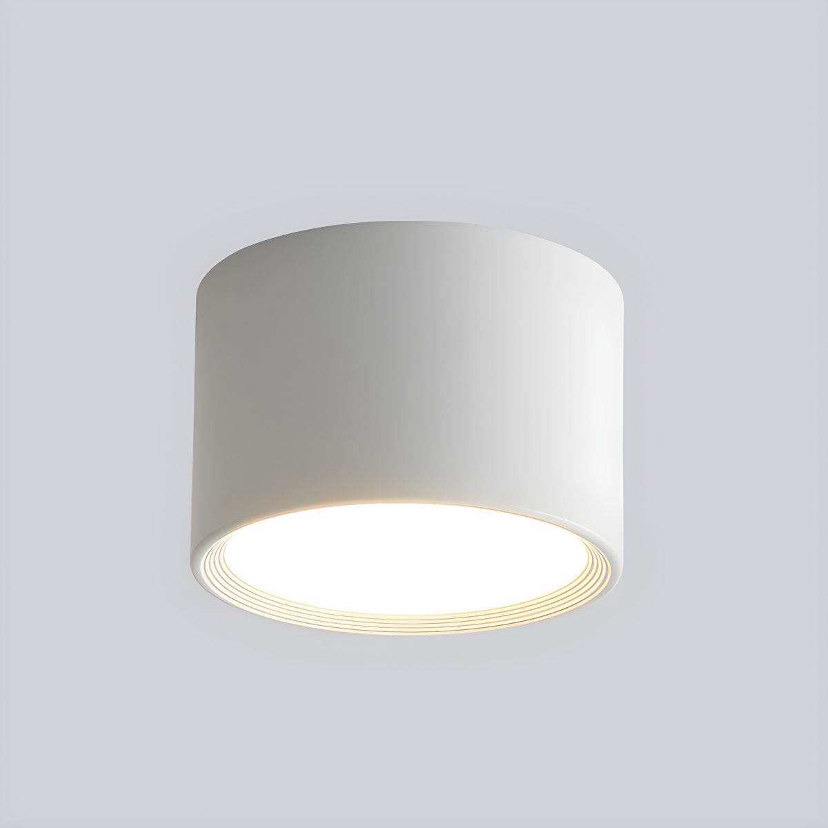 Ceiling Light Metal Cylinder in Nordic Style | Zymera