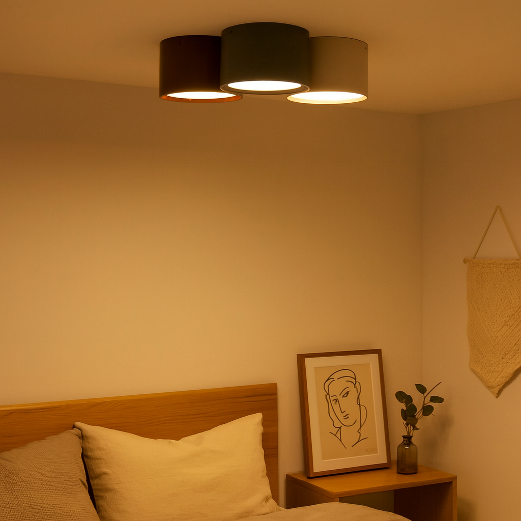 Ceiling Light Metal LED Minimalist Indoor Lighting | Ashorio