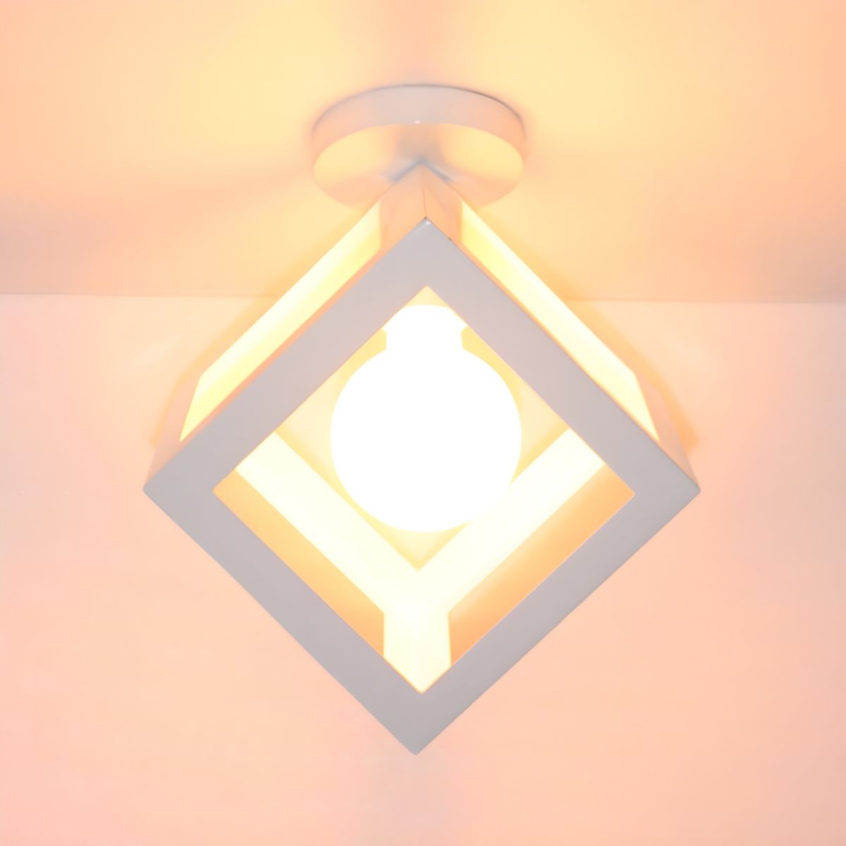 Ceiling Light Vintage Metal Loft Style | Morvian