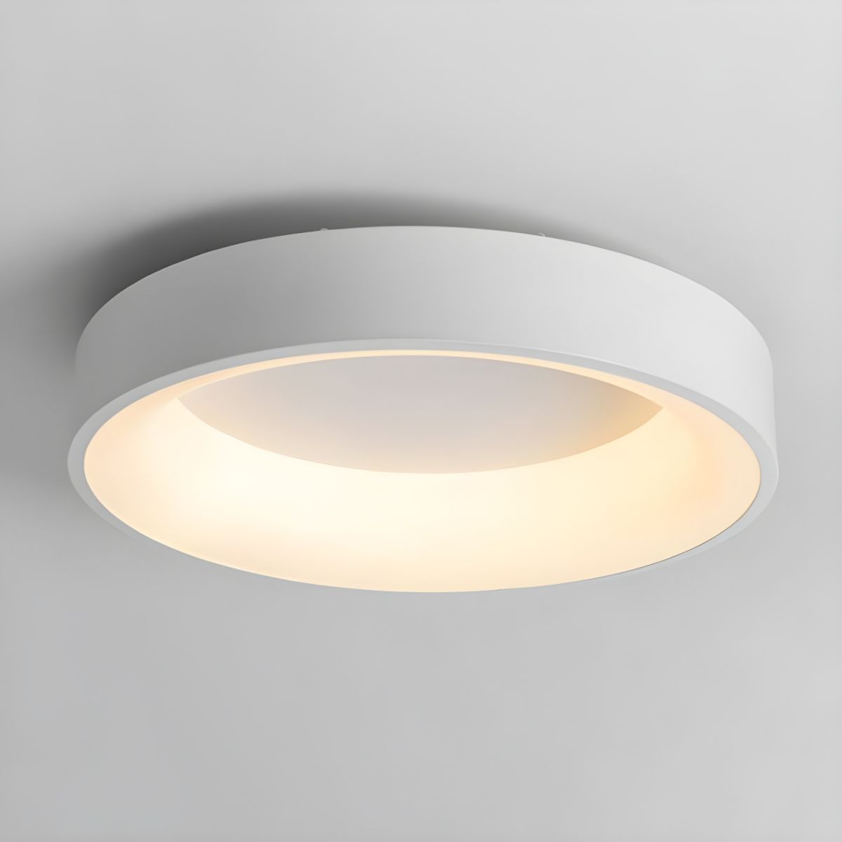 Ceiling Light with Acrylic LED Modern Flush | Acryvia