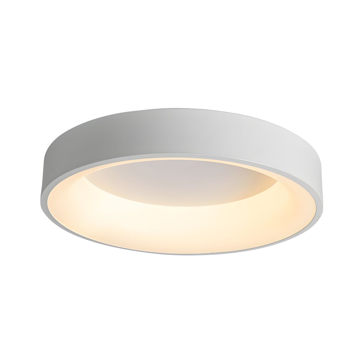 Ceiling Light with Acrylic LED Modern Flush | Acryvia