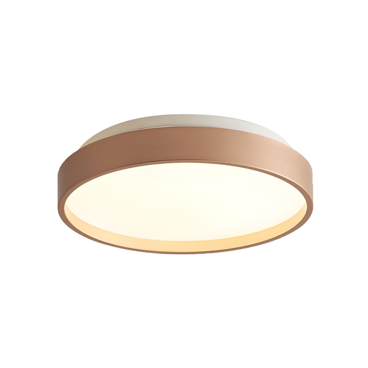 Ceiling Light with Acrylic Shade Modern Design | Avirno