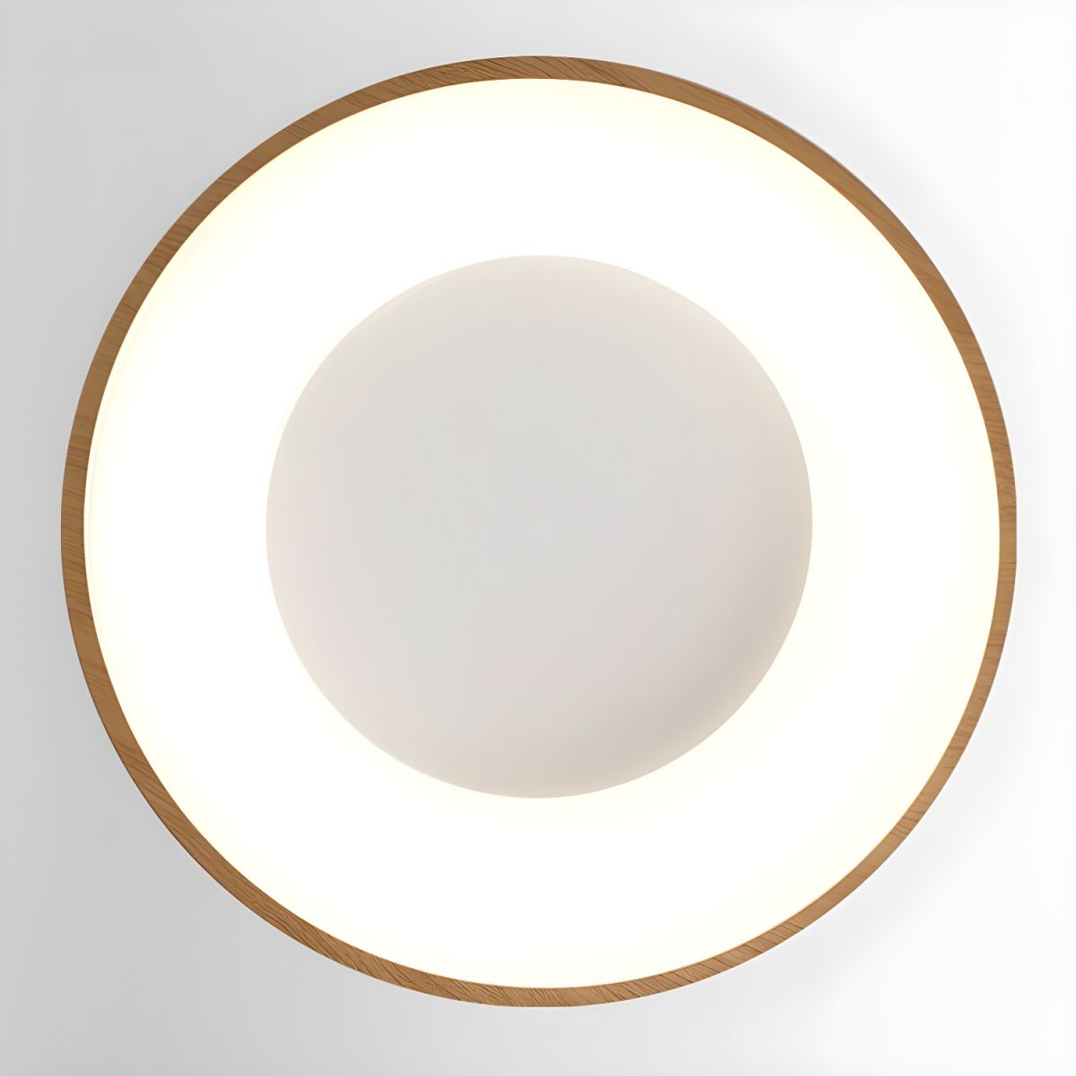Ceiling Light with Dimmable LED Modern Acrylic Shade | Navori