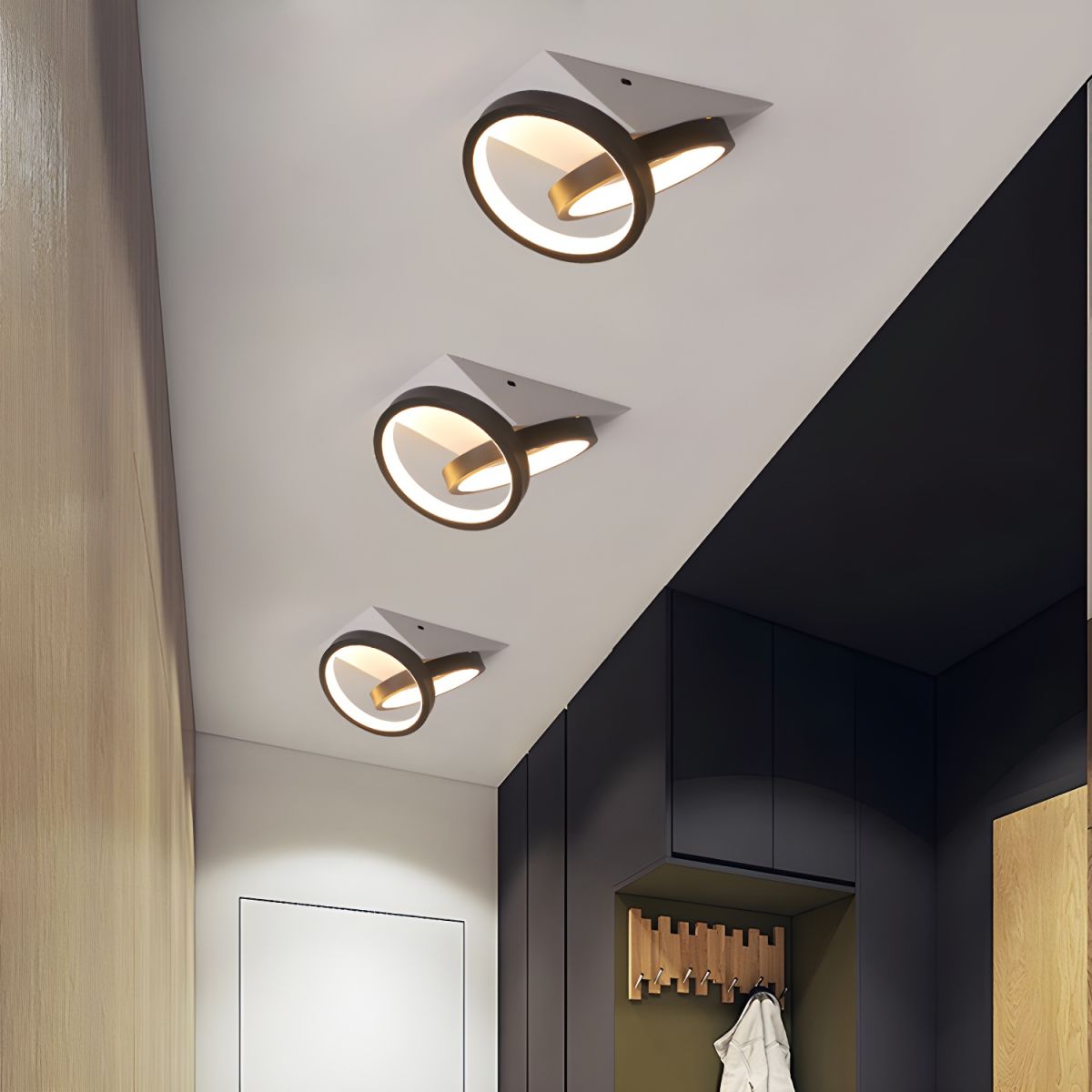 Ceiling Light with LED Acrylic Black Modern Flush | Trivona