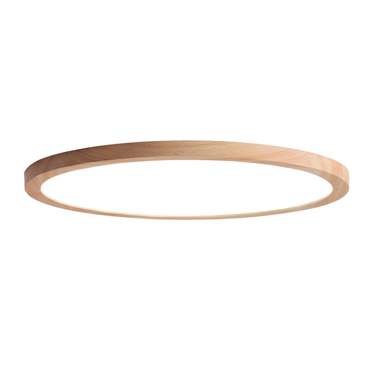 Ceiling Light with LED Acrylic Shade Modern Style | Nivaro