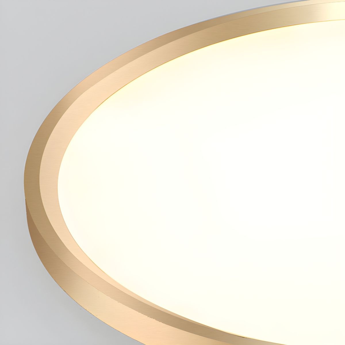 Ceiling Light with LED Metal Modern Flush Mount | Arelis
