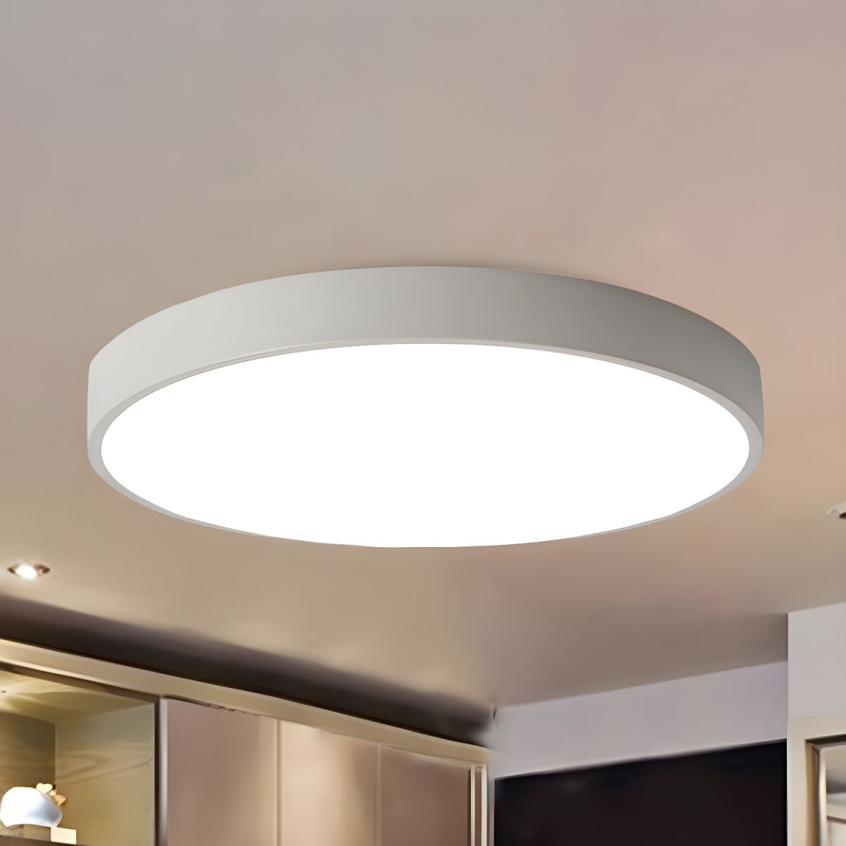 Ceiling Light with LED Modern Metal Design | Ovinra