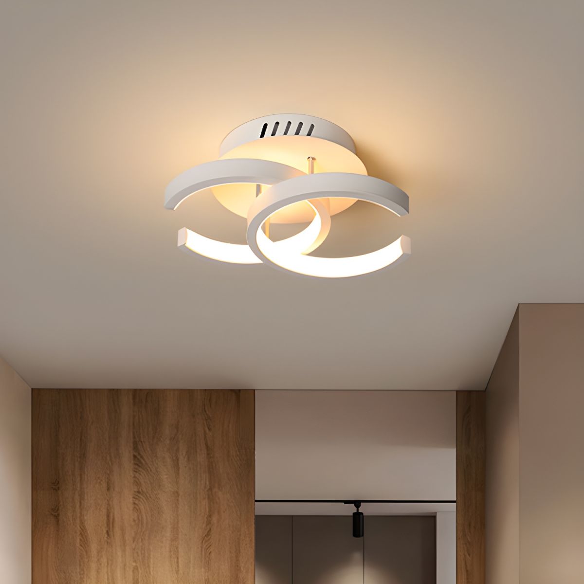 Ceiling Light with LED Moon Shape Modern Black White | Zeymir