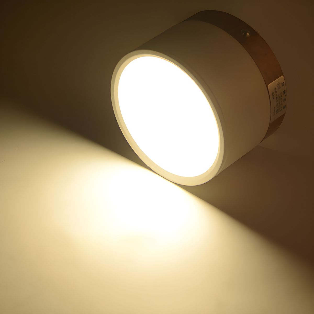 Ceiling Light with LED Nordic Modern Flush Mount | Luvano
