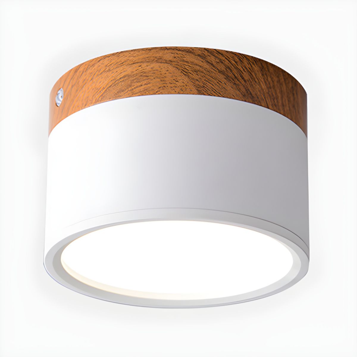 Ceiling Light with LED Nordic Modern Flush Mount | Luvano