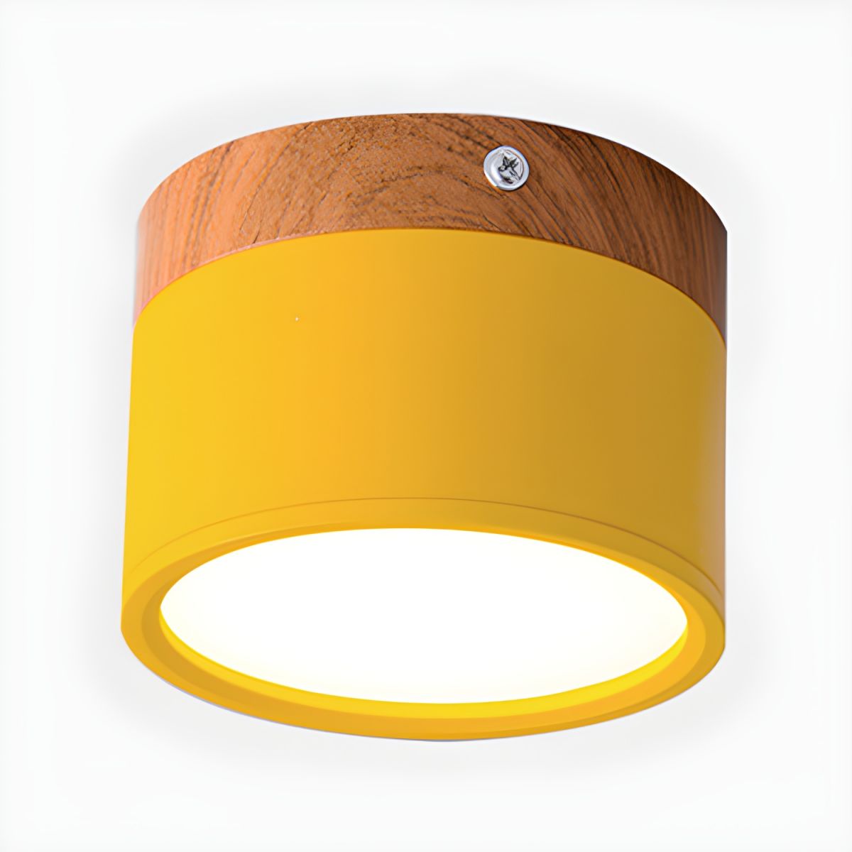 Ceiling Light with LED Nordic Modern Flush Mount | Luvano