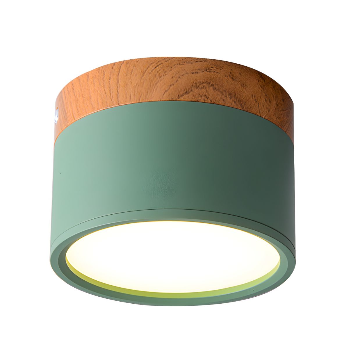 Ceiling Light with LED Nordic Modern Flush Mount | Luvano