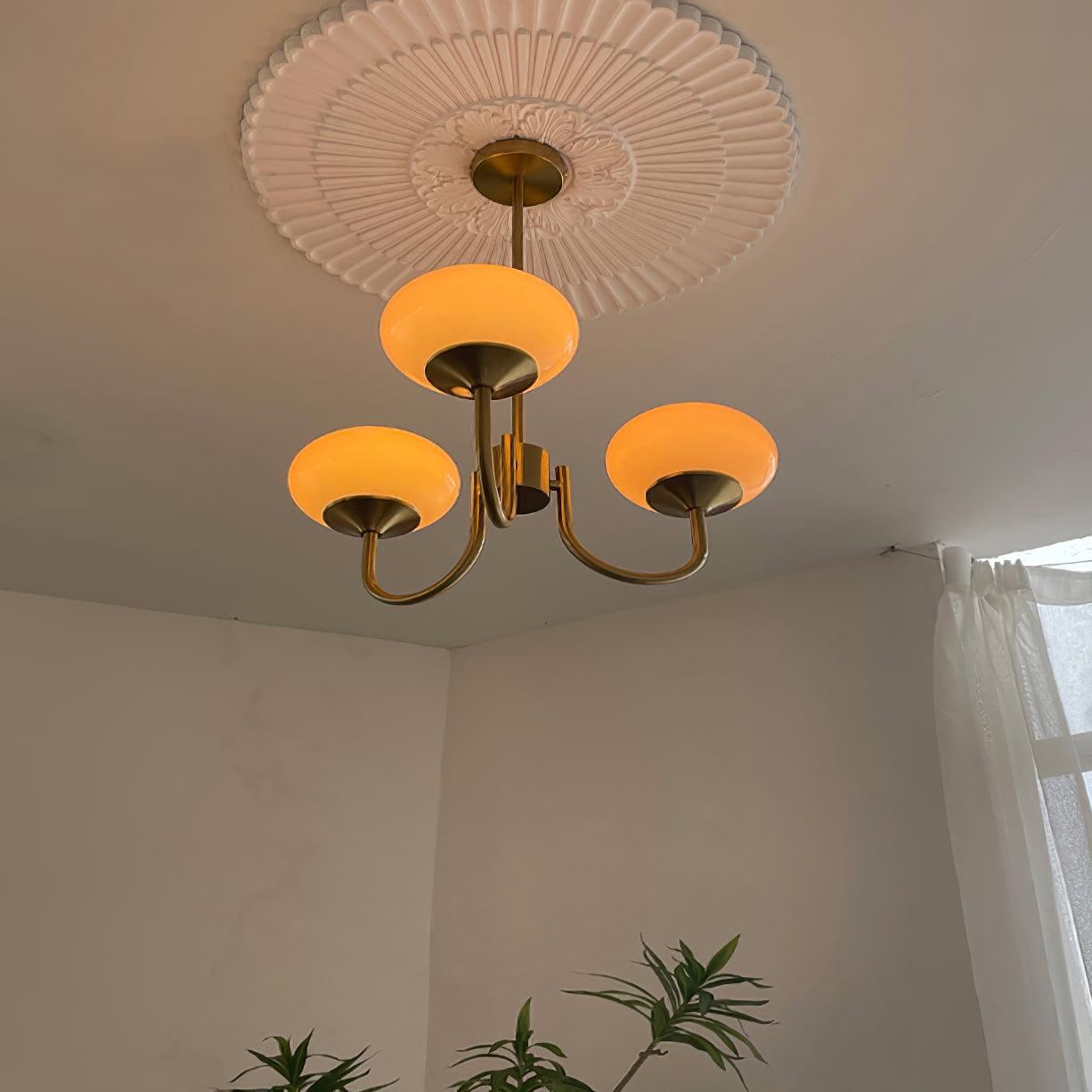 Chandelier Glass Shades in Nordic Style | Marshia