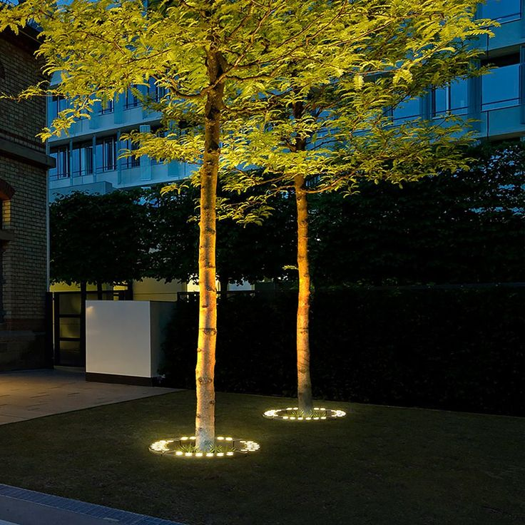 Outdoor Light LED Spotlight for Tree Illumination | Rionel