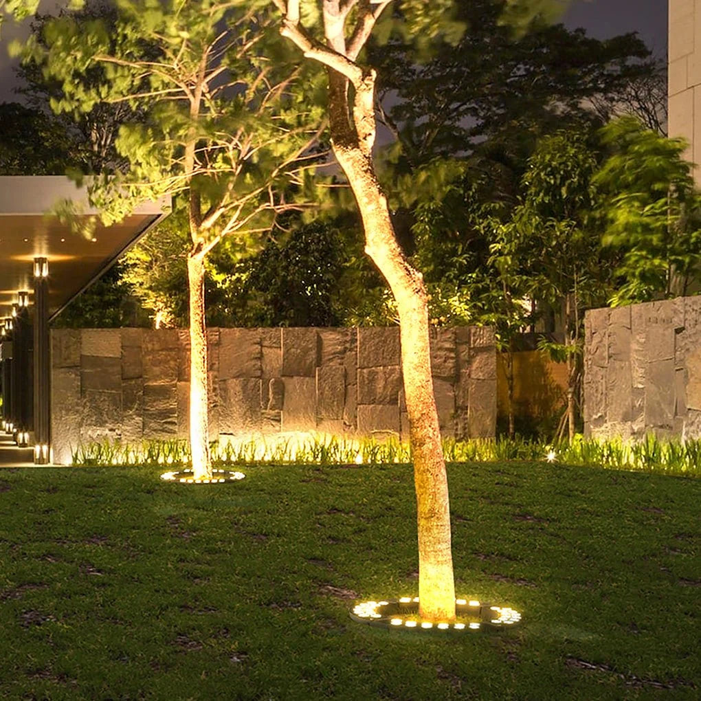 Outdoor Light LED Spotlight for Tree Illumination | Rionel