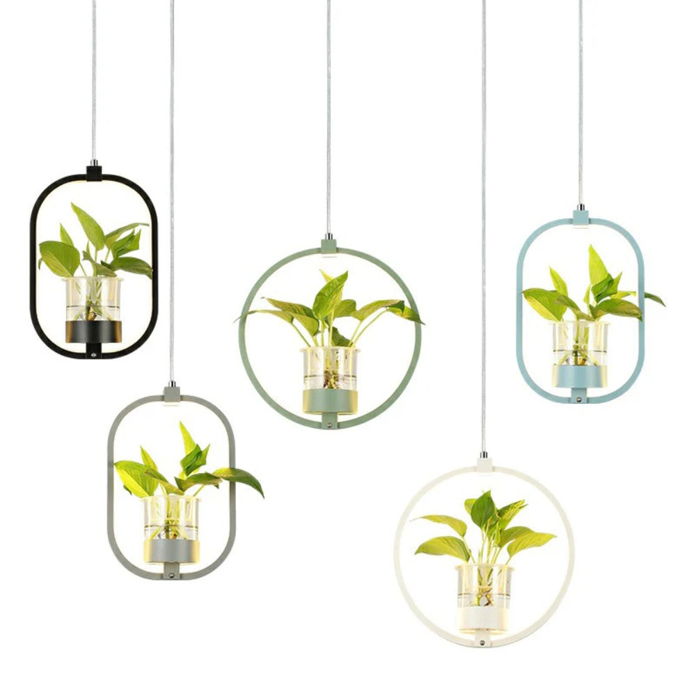 Pendant Light Acrylic LED Nordic Dining Room Suspension | Rovexe