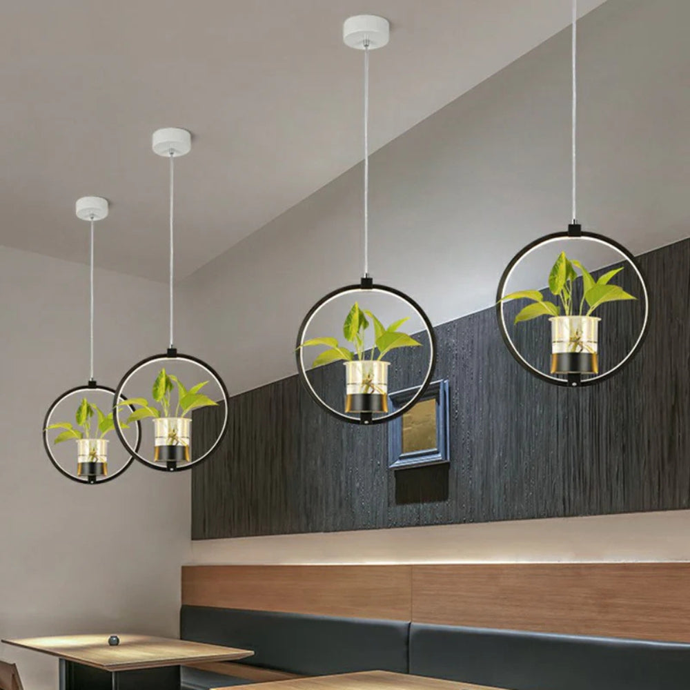 Pendant Light Acrylic LED Nordic Dining Room Suspension | Rovexe