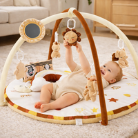 Baby Gym Play Mat Activity Arch Hanging Toys | Zenviro
