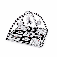Baby Play Gym Activity Mat with Hanging Toys | Zenvilo