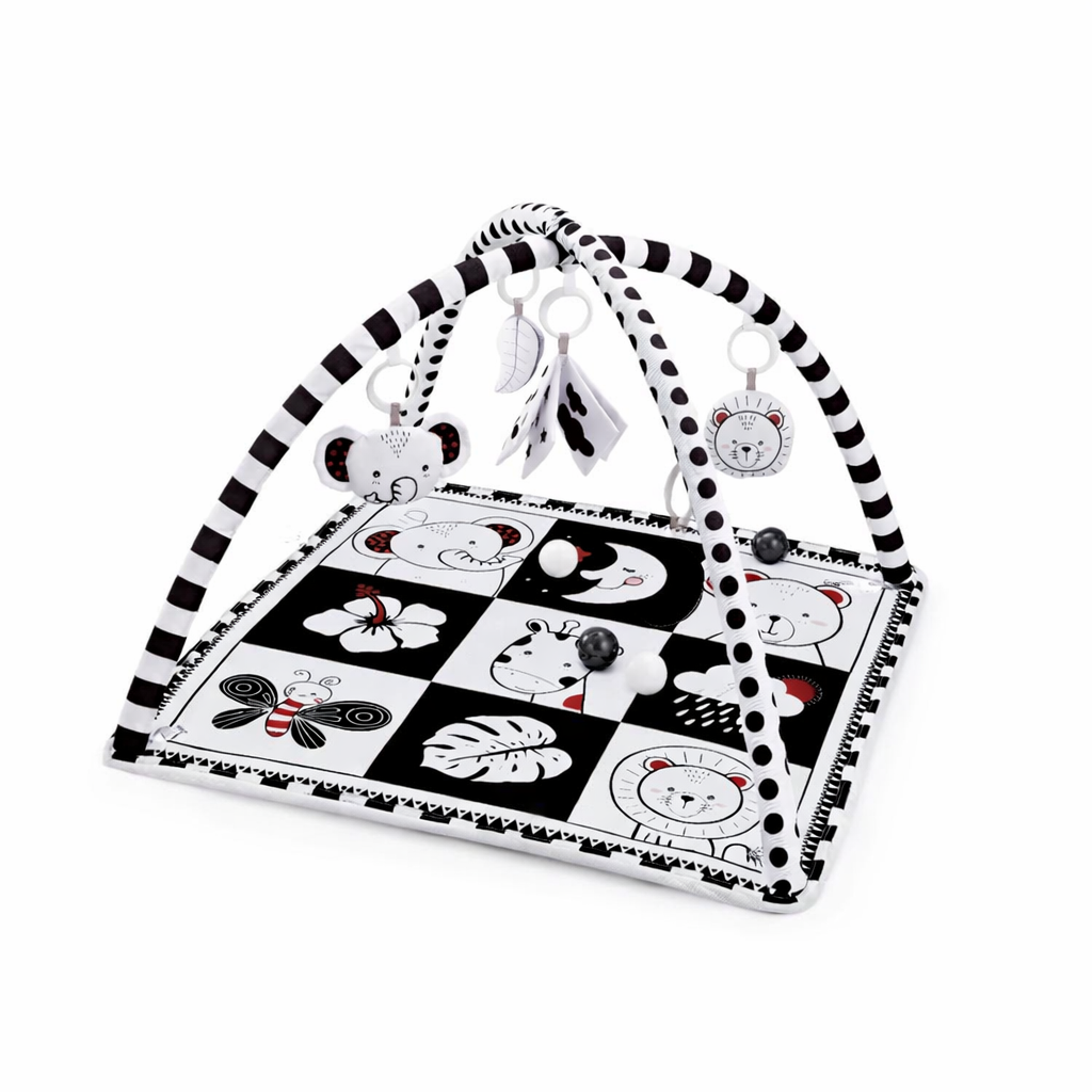 Baby Play Gym Activity Mat with Hanging Toys | Zenvilo