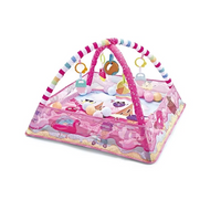 Baby Play Gym Activity with Arch and Mat | Playva