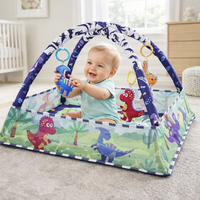 Baby Play Gym Activity with Arch and Mat | Playva