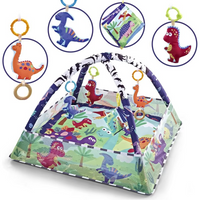 Baby Play Gym Activity with Arch and Mat | Playva