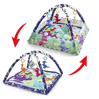 Baby Play Gym Activity with Arch and Mat | Playva