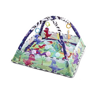 Baby Play Gym Activity with Arch and Mat | Playva
