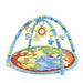 Baby Play Gym with Activity Arch and Play Mat for Infants | Ponavo