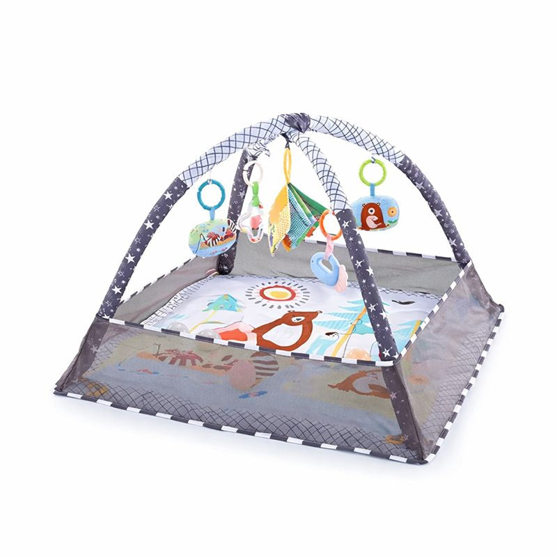 Baby Play Gym with Activity Frame | Korava