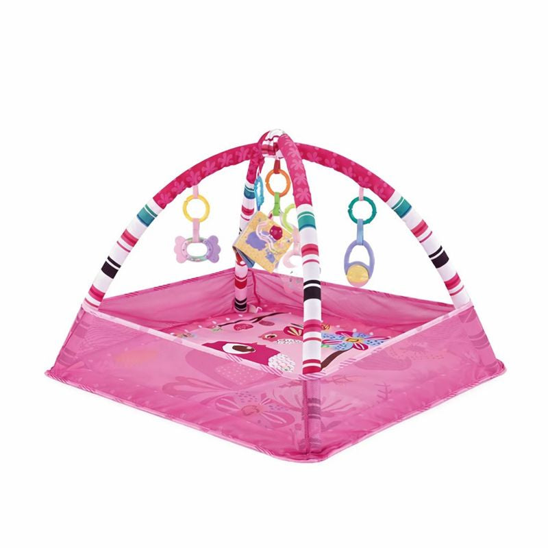 Baby Play Gym with Activity Frame | Korava