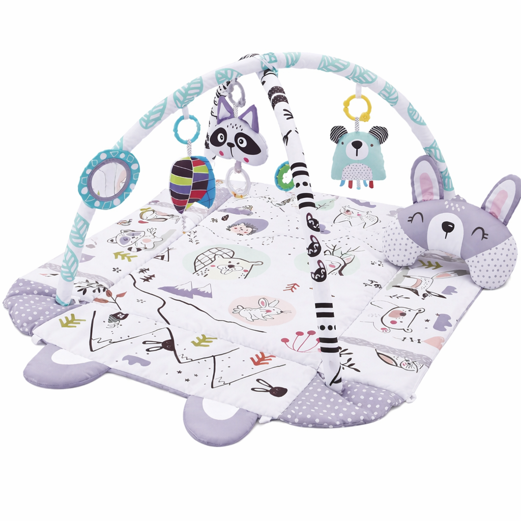 Baby Play Gym with Foldable Activity Mat | Zenvico