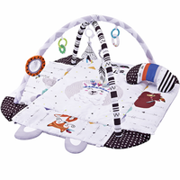 Baby Play Gym with Foldable Activity Mat | Zenvico
