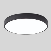 Ceiling Light with LED Scandinavian Design | Zivaro 7