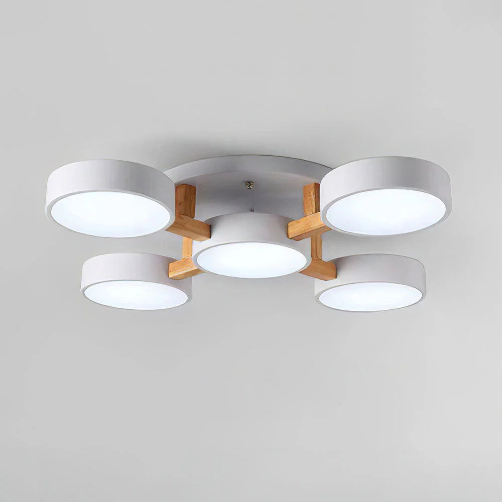 Ceiling Light Acrylic Cluster in Nordic Style | Evoron
