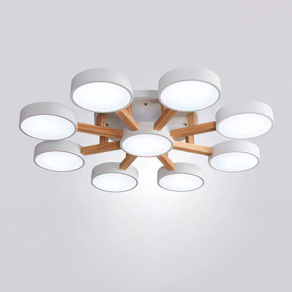 Ceiling Light Acrylic Cluster in Nordic Style | Evoron