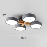 Ceiling Light Acrylic Cluster in Nordic Style | Evoron