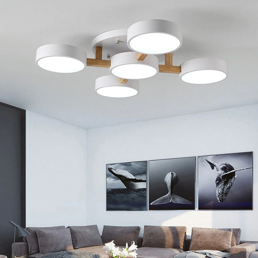 Ceiling Light Acrylic Cluster in Nordic Style | Evoron