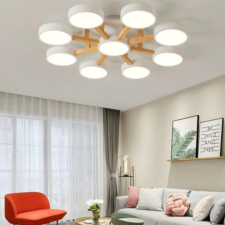 Ceiling Light Acrylic Cluster in Nordic Style | Evoron