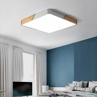 Ceiling Light Acrylic Panel in Nordic Style | Timura